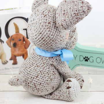 Cookie the French Bulldog