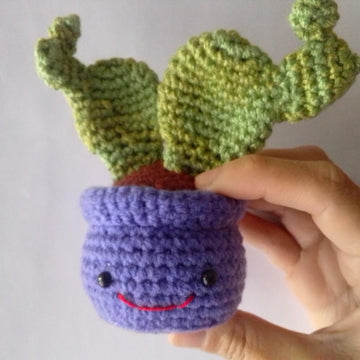 Nopal Cactus Happy
