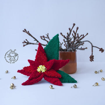 Christmas poinsettia
