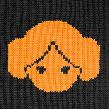 Princess Leia Knitting Chart