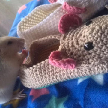 EEEeek! slippers
