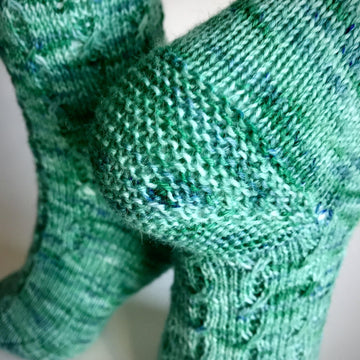 Insocknia