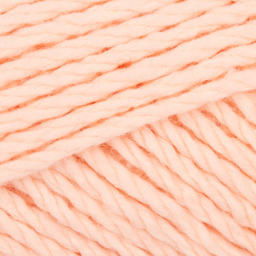 Apricot (3860)