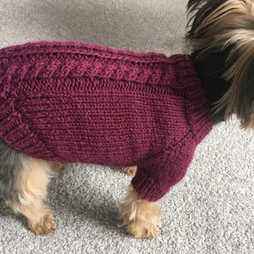 Plum Dog Sweater