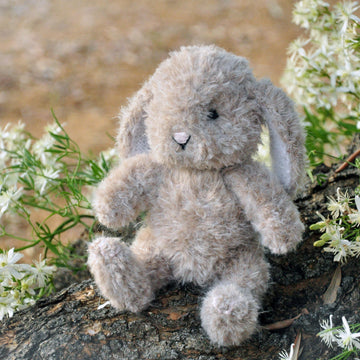 Baby Bunny Rabbit (Back & Forth)