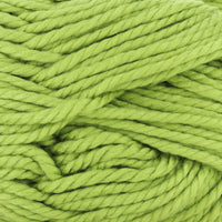 Fern (188)