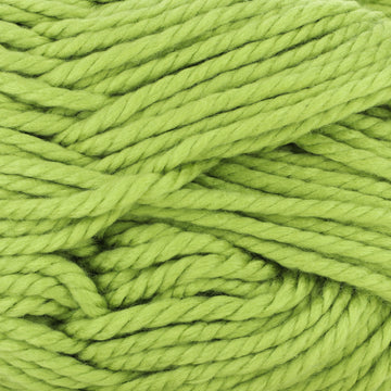 Fern (188)