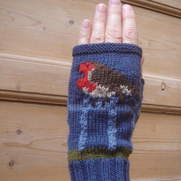 Robin on a Fence fingerless gloves/mitts