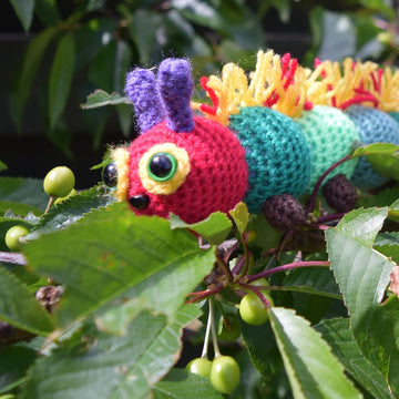 A Hungry, Hairy Caterpillar