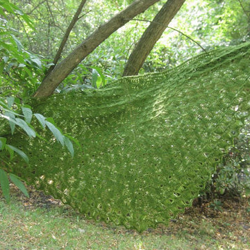 Spaziergang im Garten