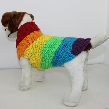 Chunky Spectrum Dog Coat