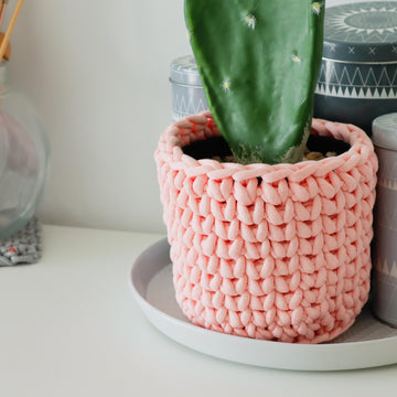 The Cactus Cozy