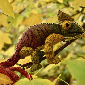 Chameleon