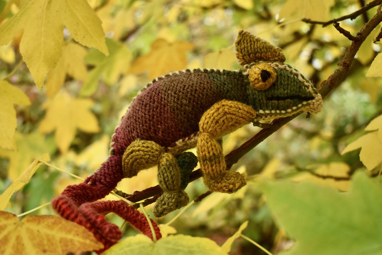 Chameleon