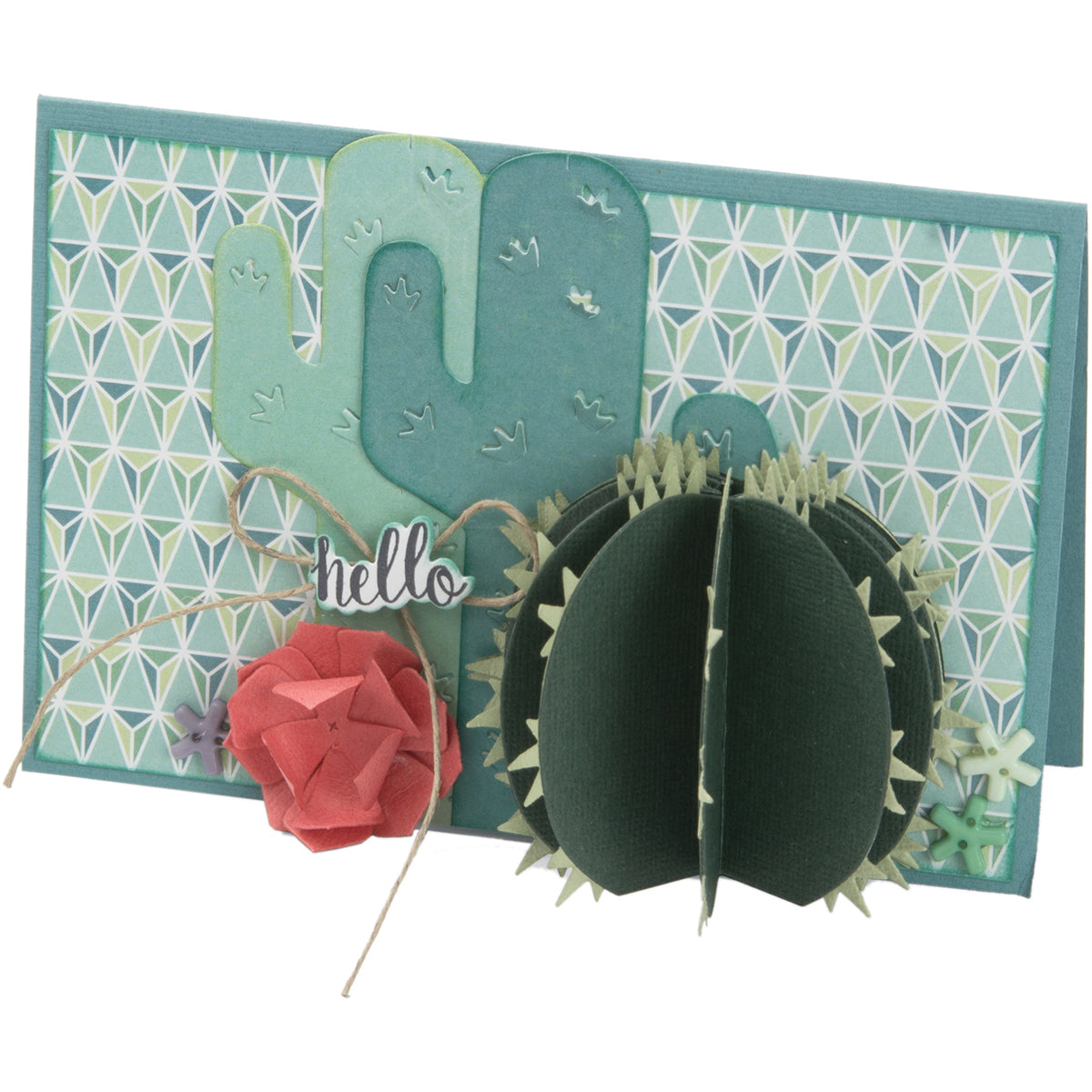 Sizzix Thinlits 2D, 3D Dies By Lynda Kanase 6/Pkg - 2D & 3D Succulents
