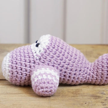 Amigurumi Airplane