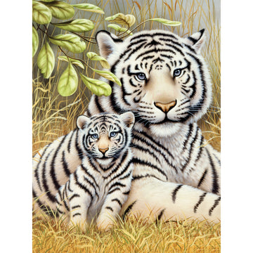 Royal Brush Junior Small Paint By Number Kit 8.75"X11.75" - White Tiger Pair