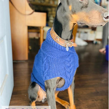 Gentleman's Dog Sweater
