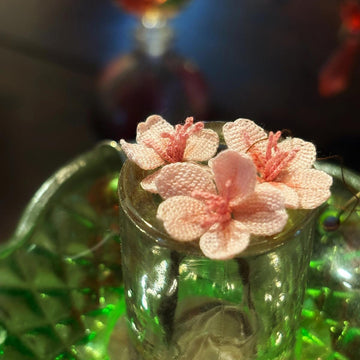 Cherry blossom branch