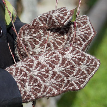 Frond Hat and Mitten Set