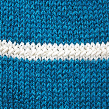 The Blue Sweater