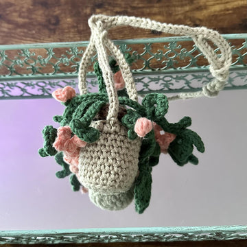 Hanging Teenie Tiny Plant