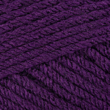 Purple Tulip (70611)