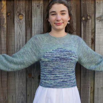 Dragonfly Jumper