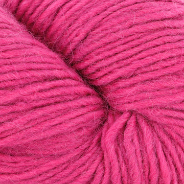 Raspberry (11)