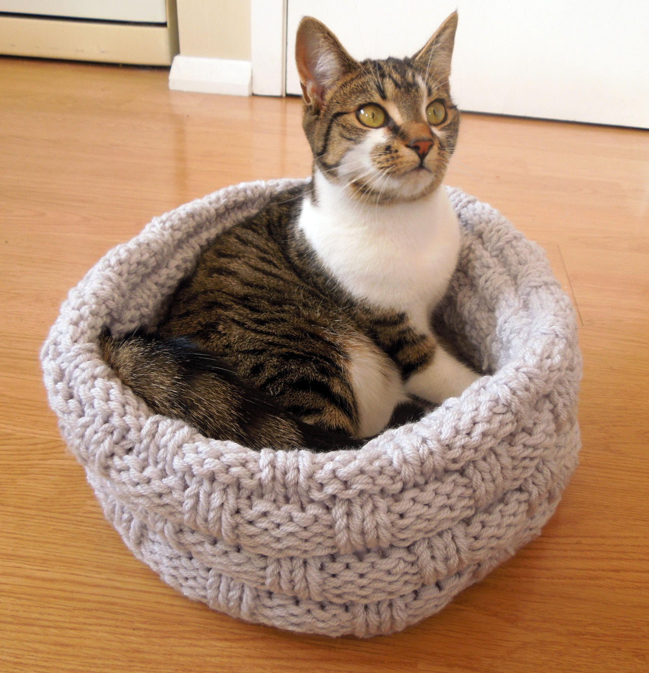 Cat Bed