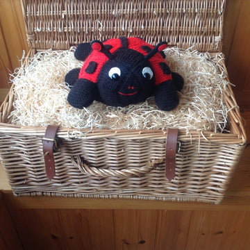 Square Ladybirds