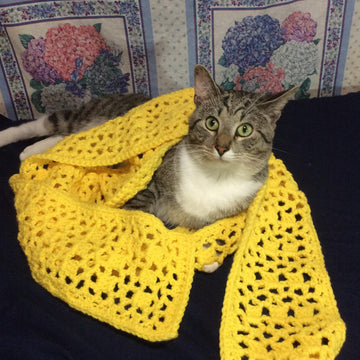Lacy Crocheted Set