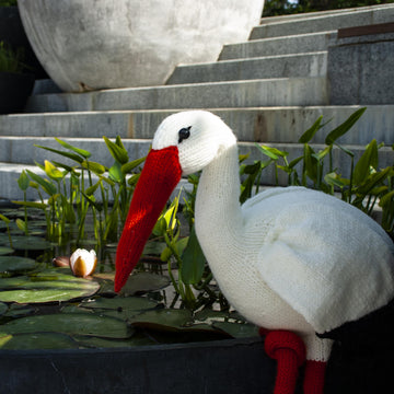 Big stork