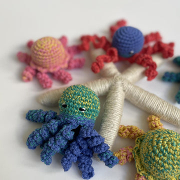 Cat Toy Bundle