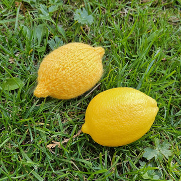Knitted Oranges & Lemons