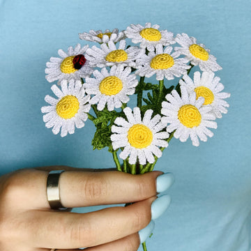 Chamomile flower and ladybug