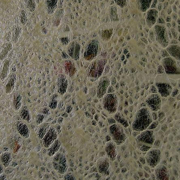 Goose Down Shawl
