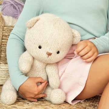 Teddy Bear Toy