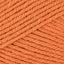 Pumpkin Patch (458)