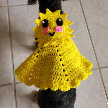 Little Miss Sunshine Dress