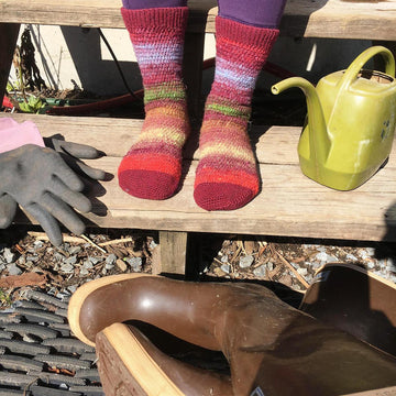 Farmer's Favorite Socks