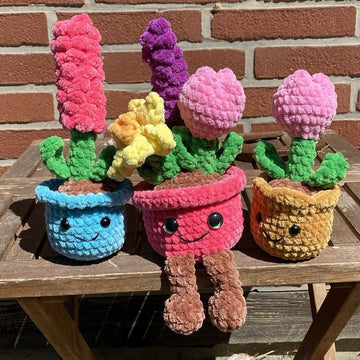 Potted Spring Flower