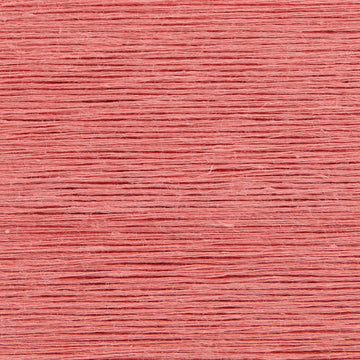 Rose (16)