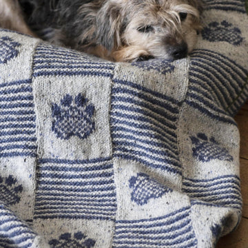 Pet Blanket
