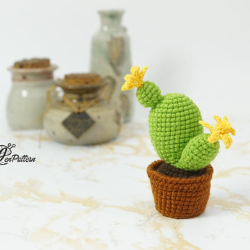 Cactus Collection