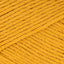 Mustard Yellow (823)