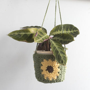 Sunflower Plant Hanger