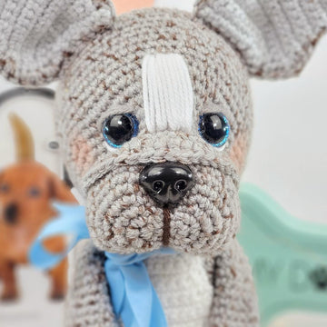 Cookie the French Bulldog