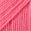 Pretty in Pink (77416)