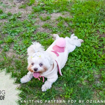 Easter bunny hoodie for dog